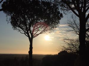 thumb IMG 8112 1024